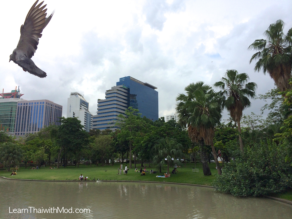 Benjasiri Park 4