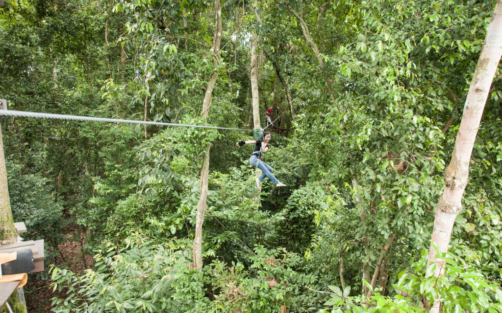 Zip lining is a fun experience!