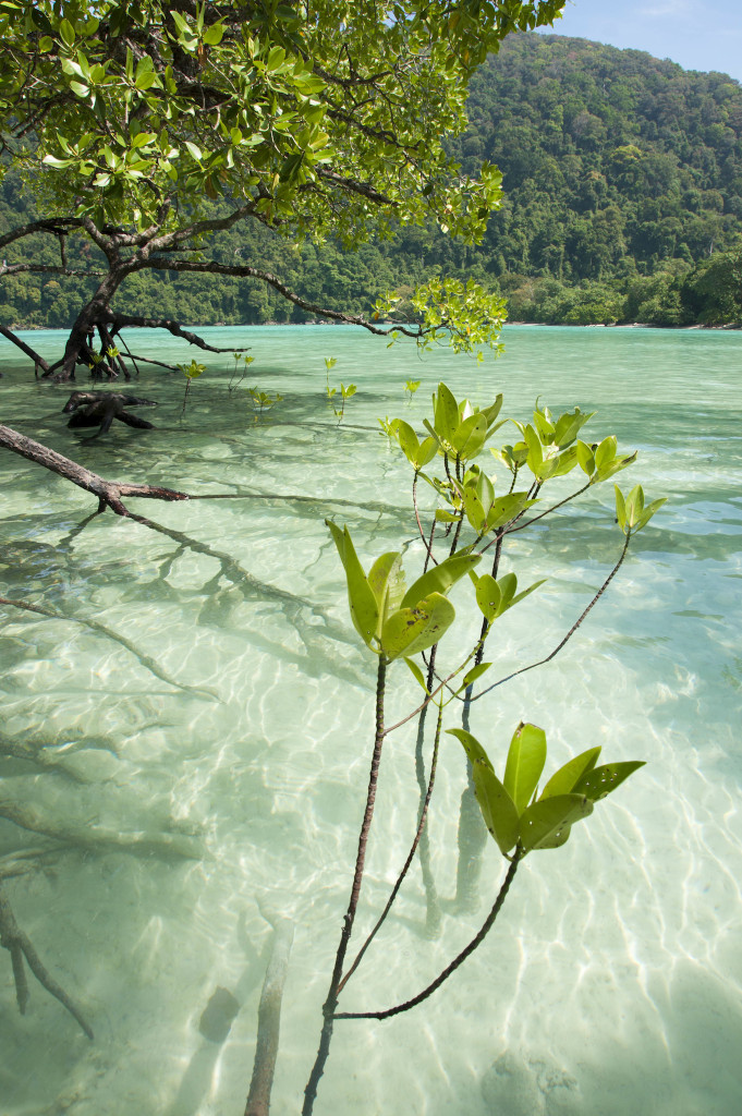 I love this crystal clear water