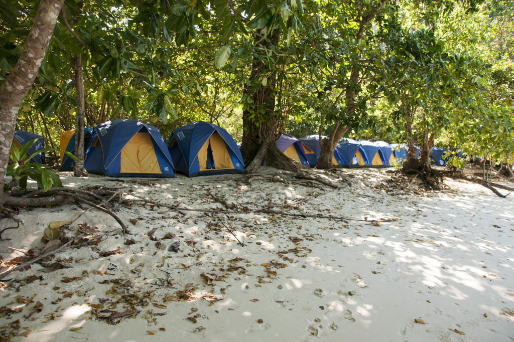 Beach front tents with sea view.