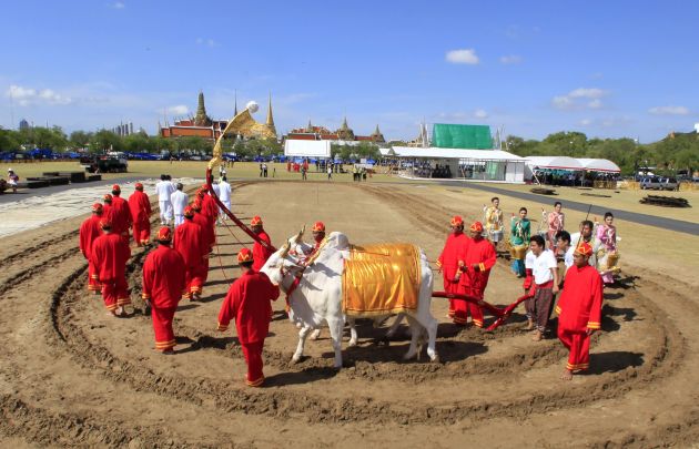 Royal Ploughing