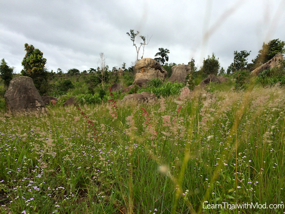 Chaiyaphum8