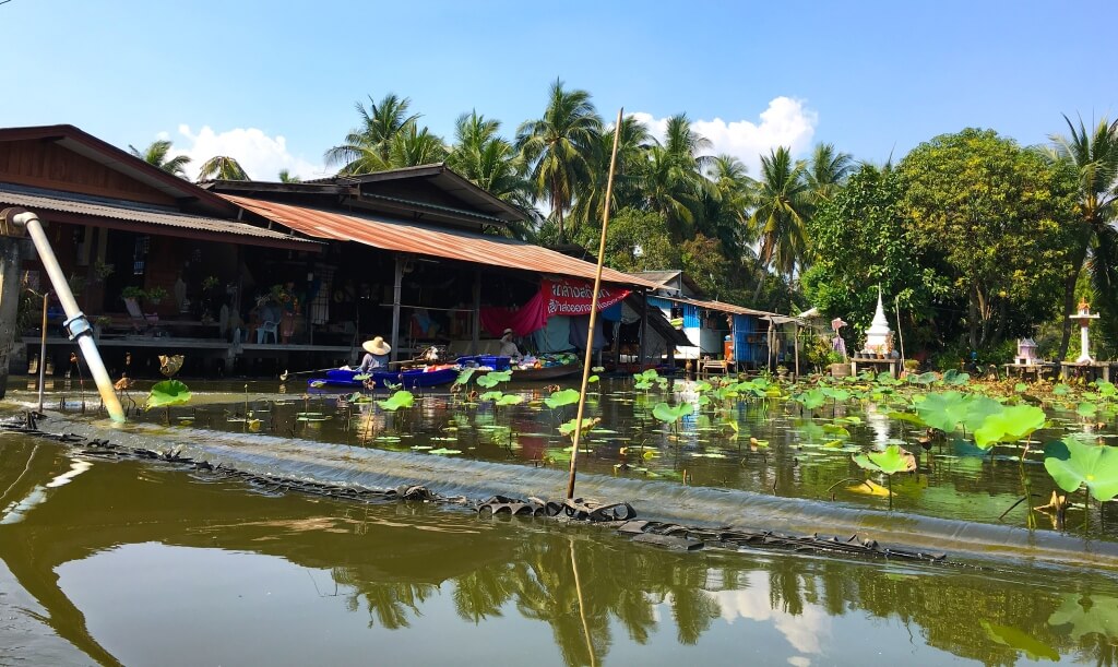 The boat ride allows you to observe the real way of life of people living by the water.